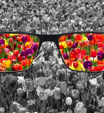 Colour blindness glasses